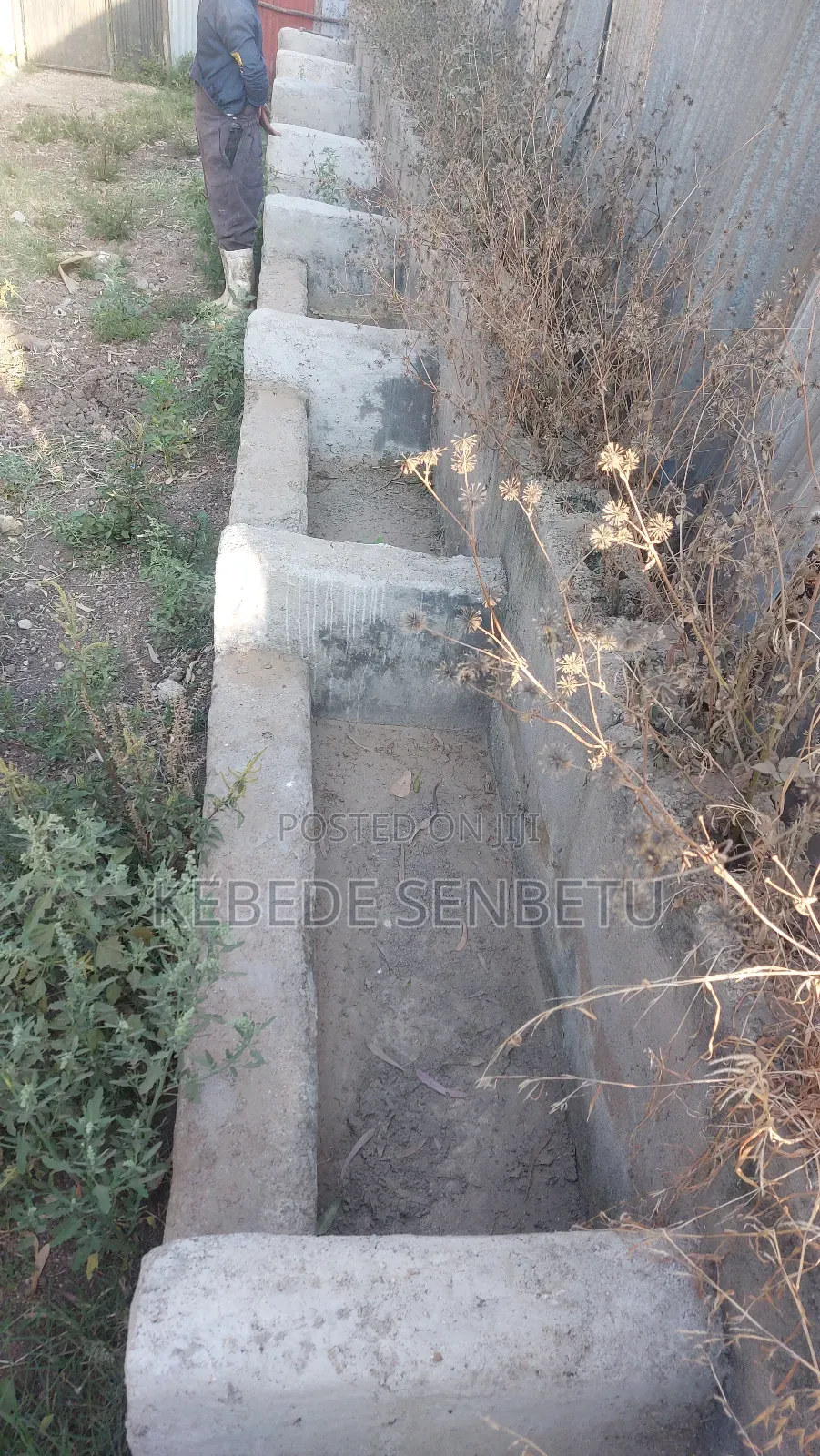 የከብት ማድለቢ Ware House