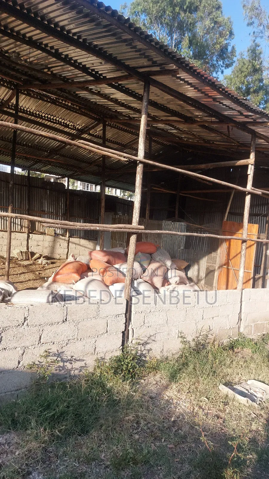 የከብት ማድለቢ Ware House