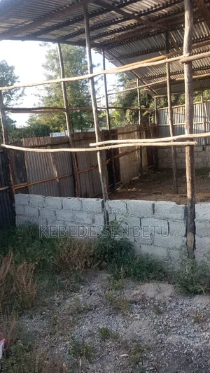 የከብት ማድለቢ Ware House