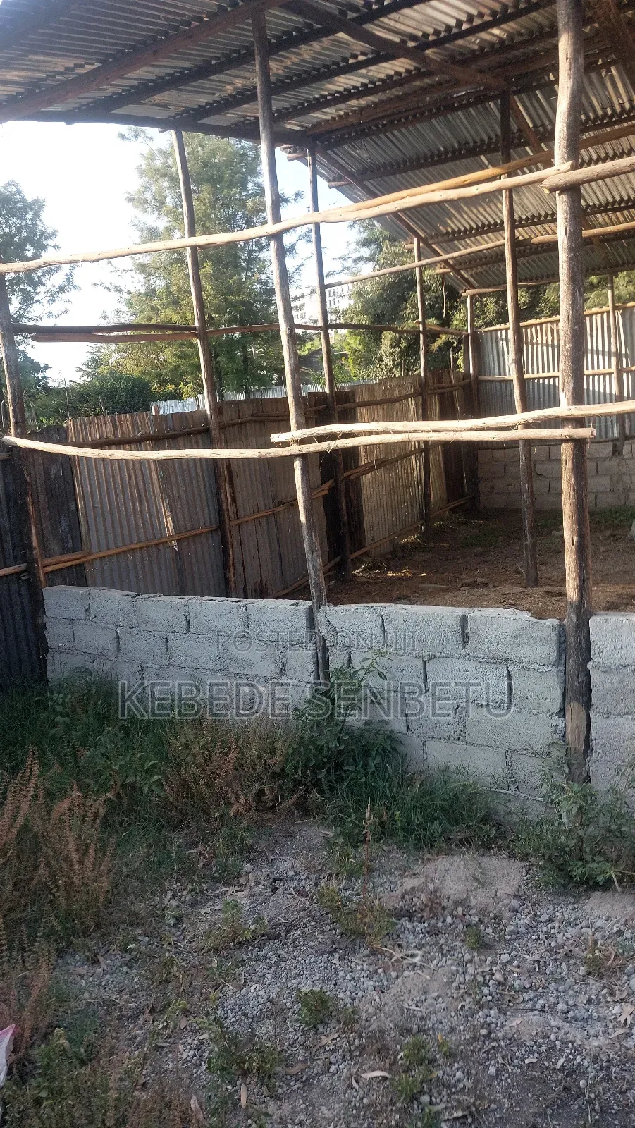 የከብት ማድለቢ Ware House