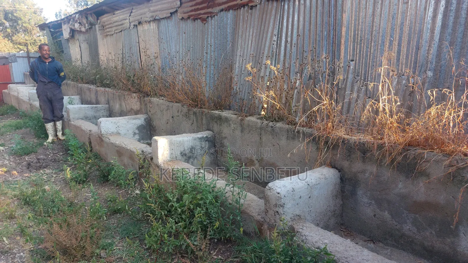 የከብት ማድለቢ Ware House