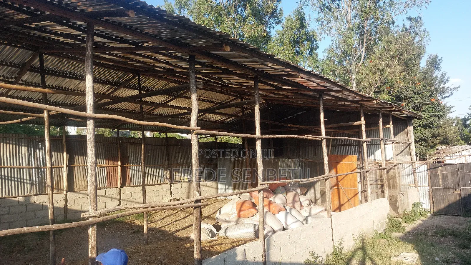 የከብት ማድለቢ Ware House