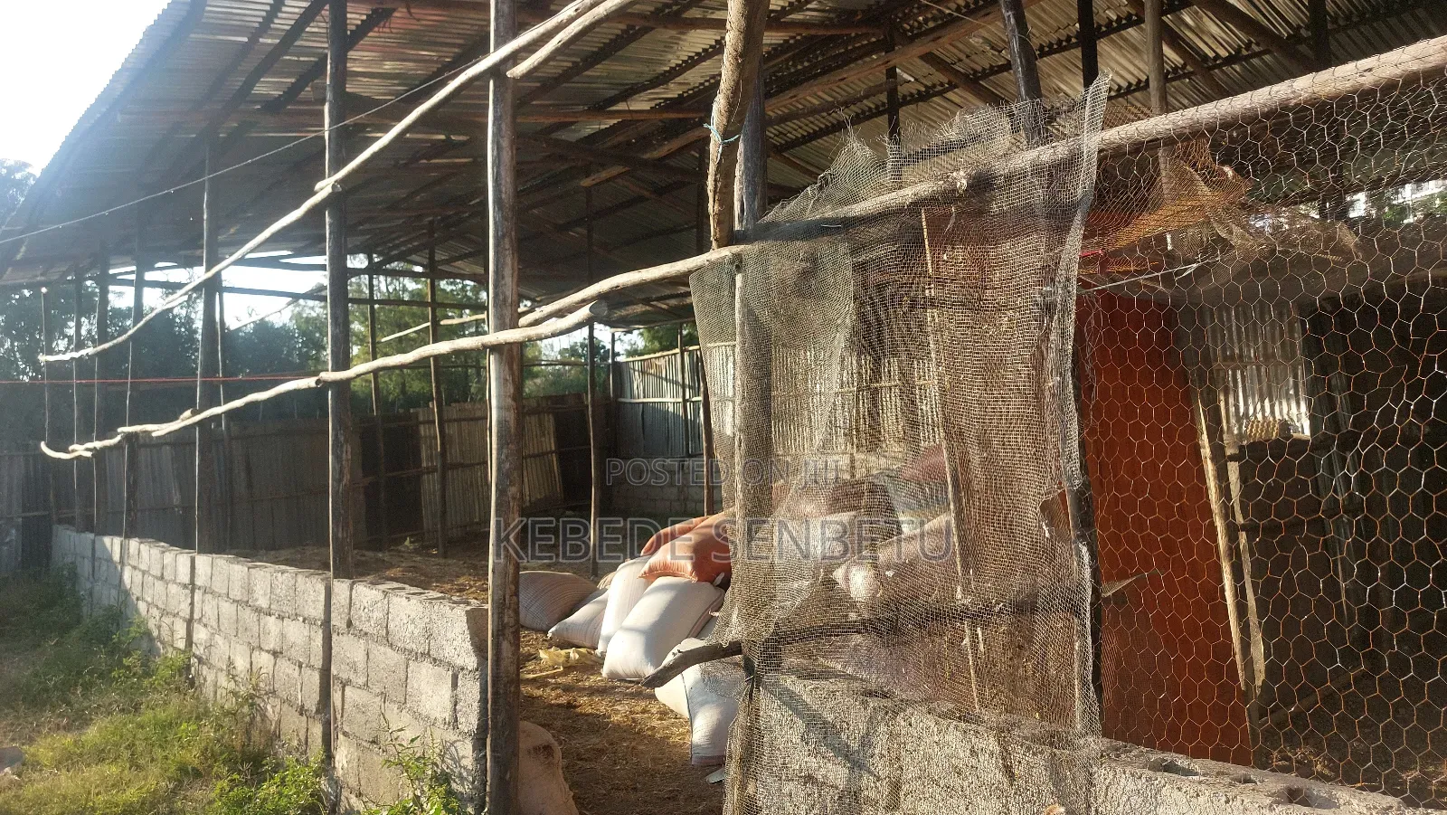 የከብት ማድለቢ Ware House