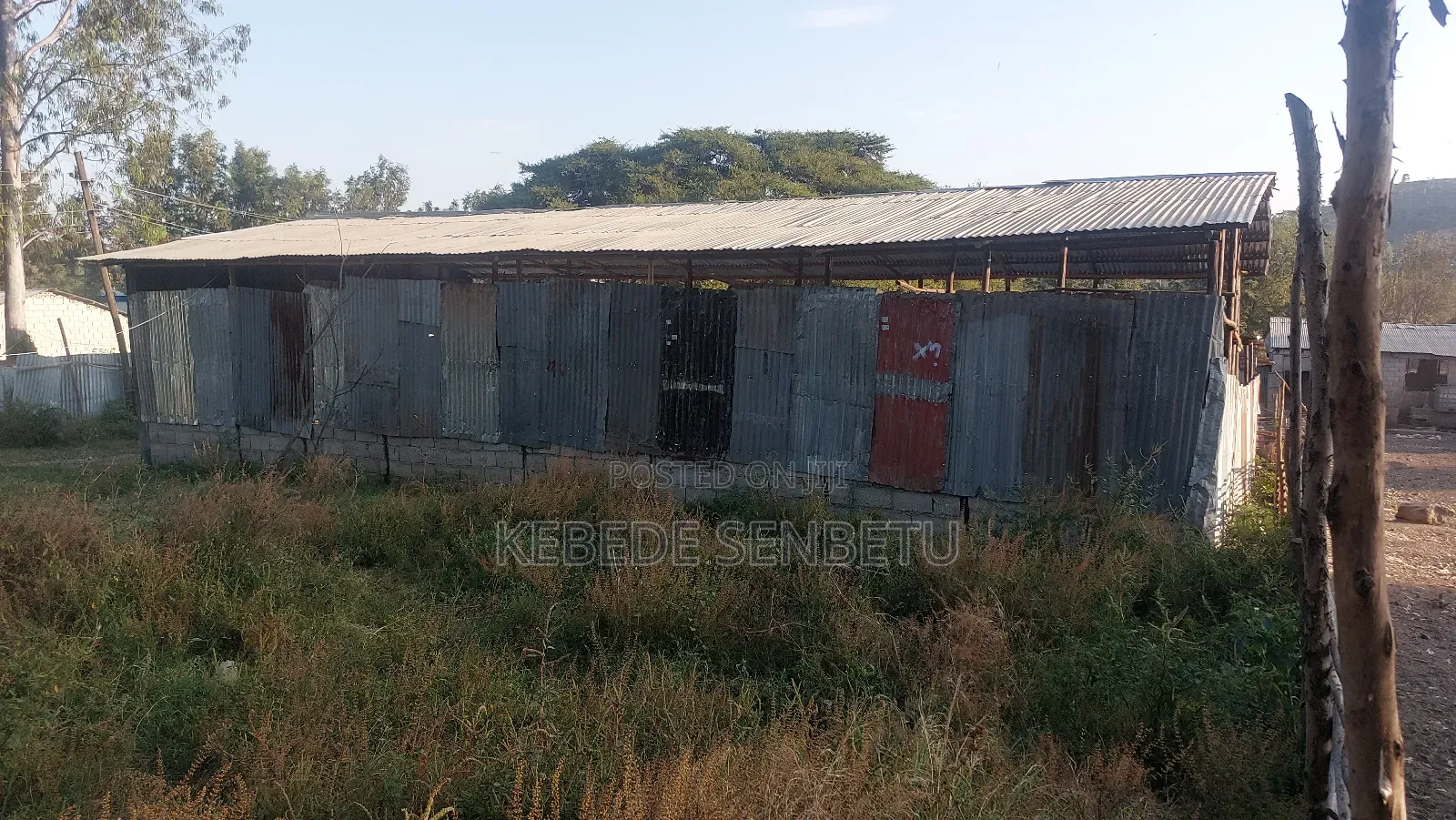 የከብት ማድለቢ Ware House