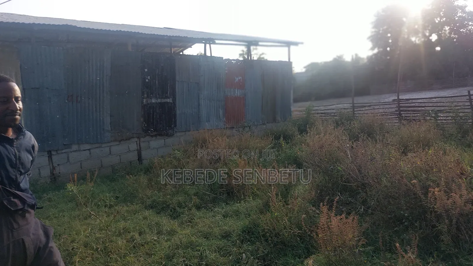 የከብት ማድለቢ Ware House