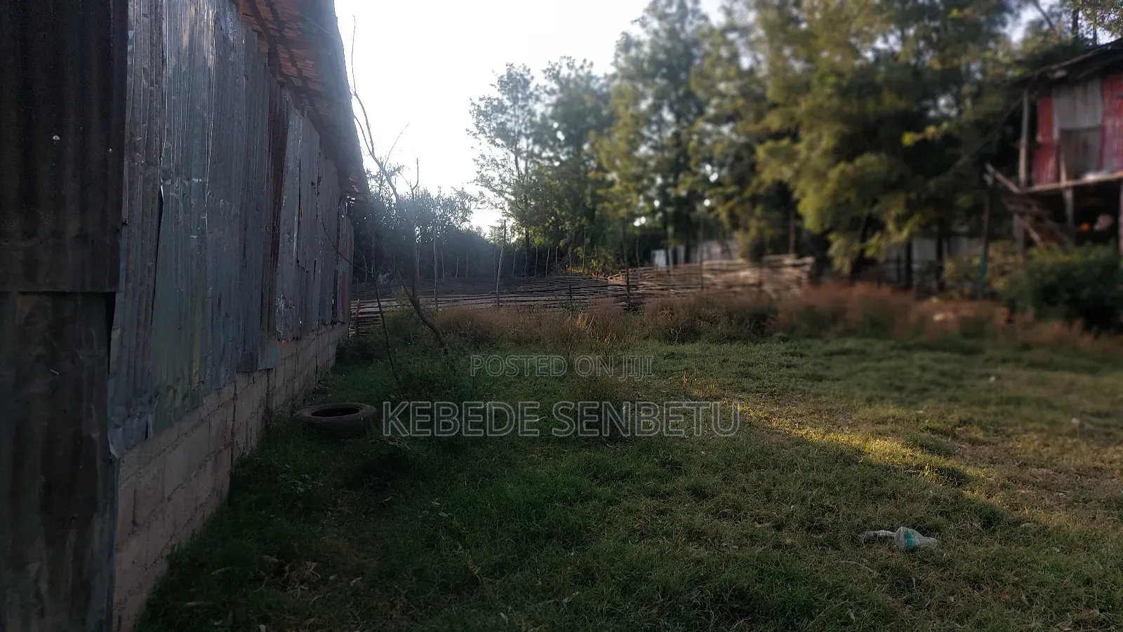 የከብት ማድለቢ Ware House