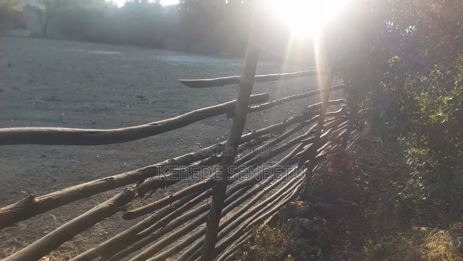 የከብት ማድለቢ Ware House