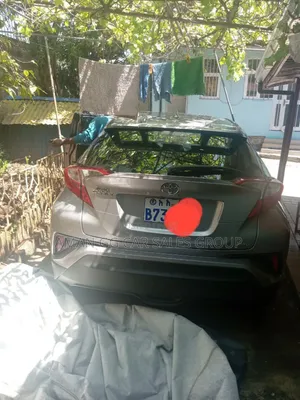 Toyota C-HR 2019 Silver