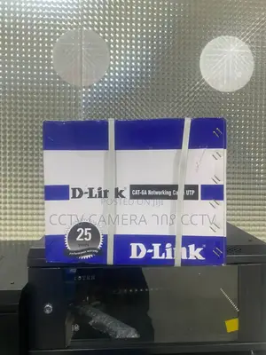D-Link Cat6 Networking Cable