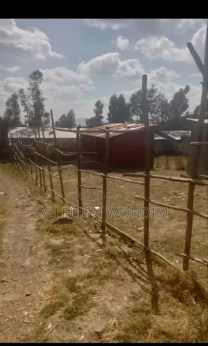 Photo - Land For Sale የሚሸጥ ቦታ