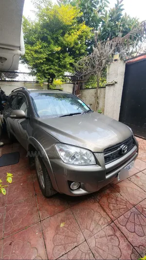 Toyota RAV4 2009 Gray