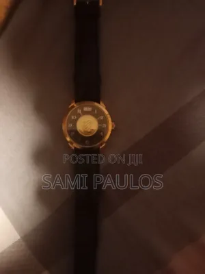 Photo - Golden Quest Watch