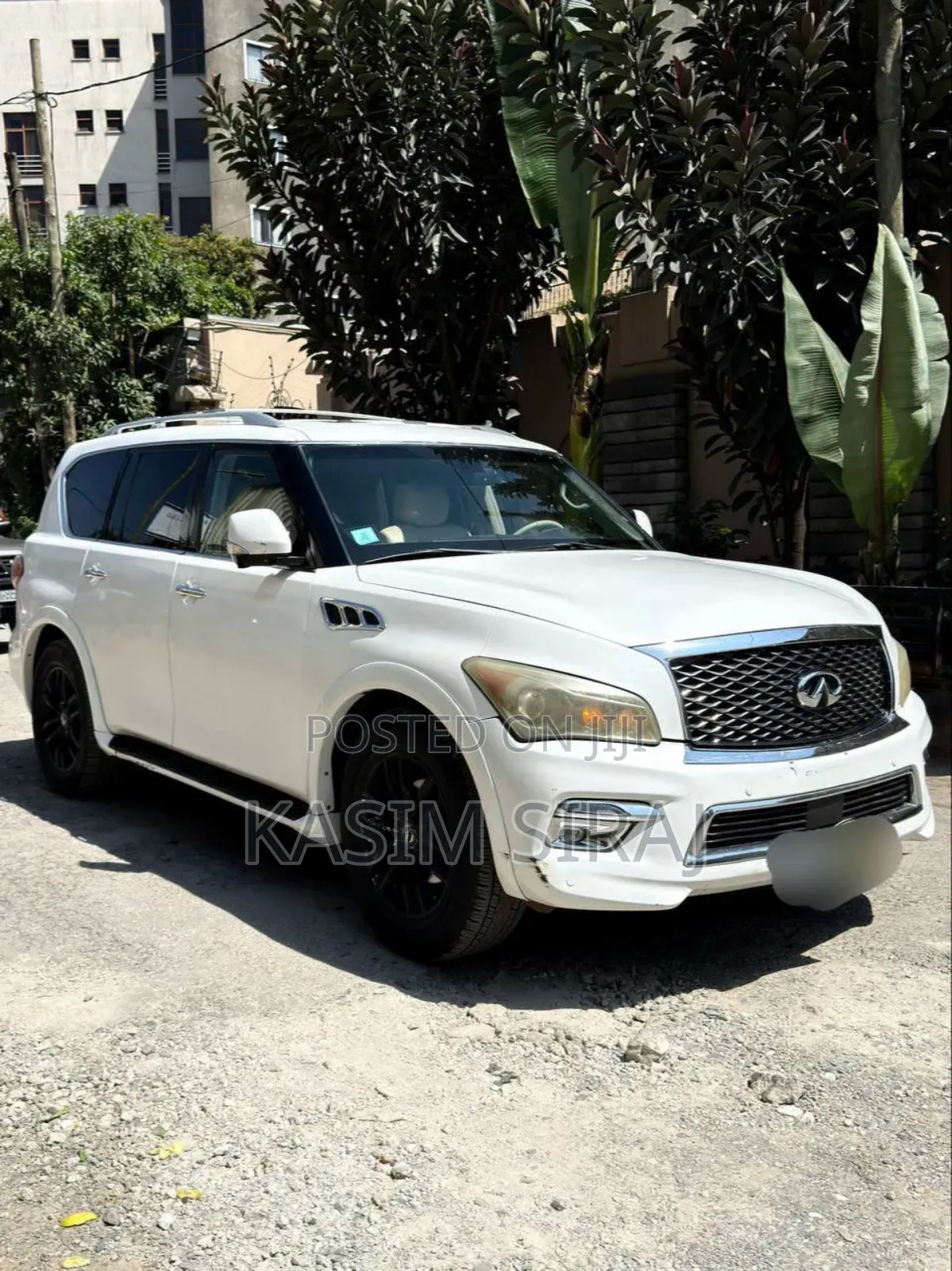 Infiniti QX80 2014 White