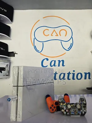 Ps4 Fat Jailbreak for Home and Gamezone