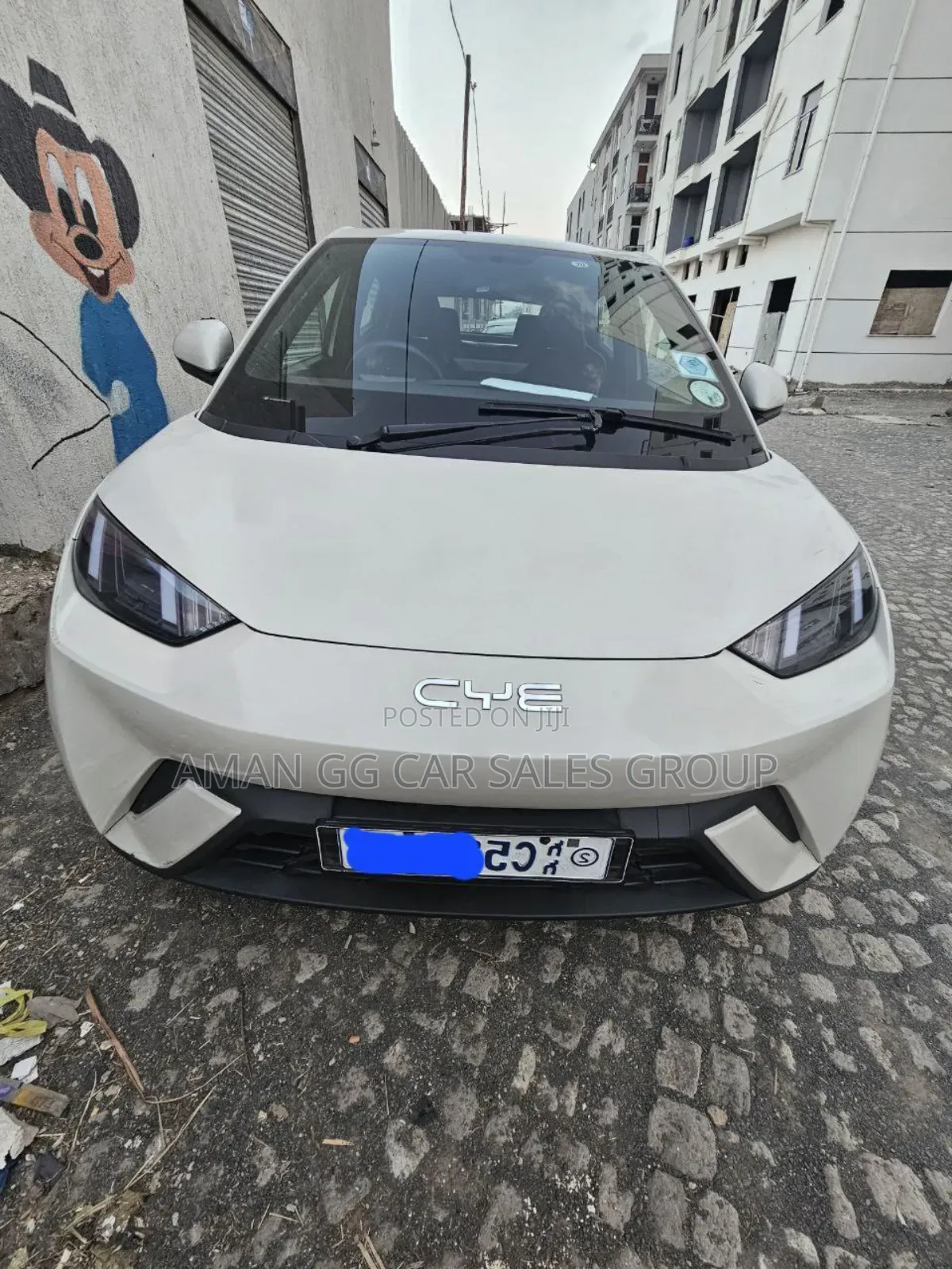 BYD Seagull 2024 Purple