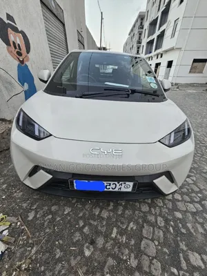 Photo - BYD Seagull 2024 Purple