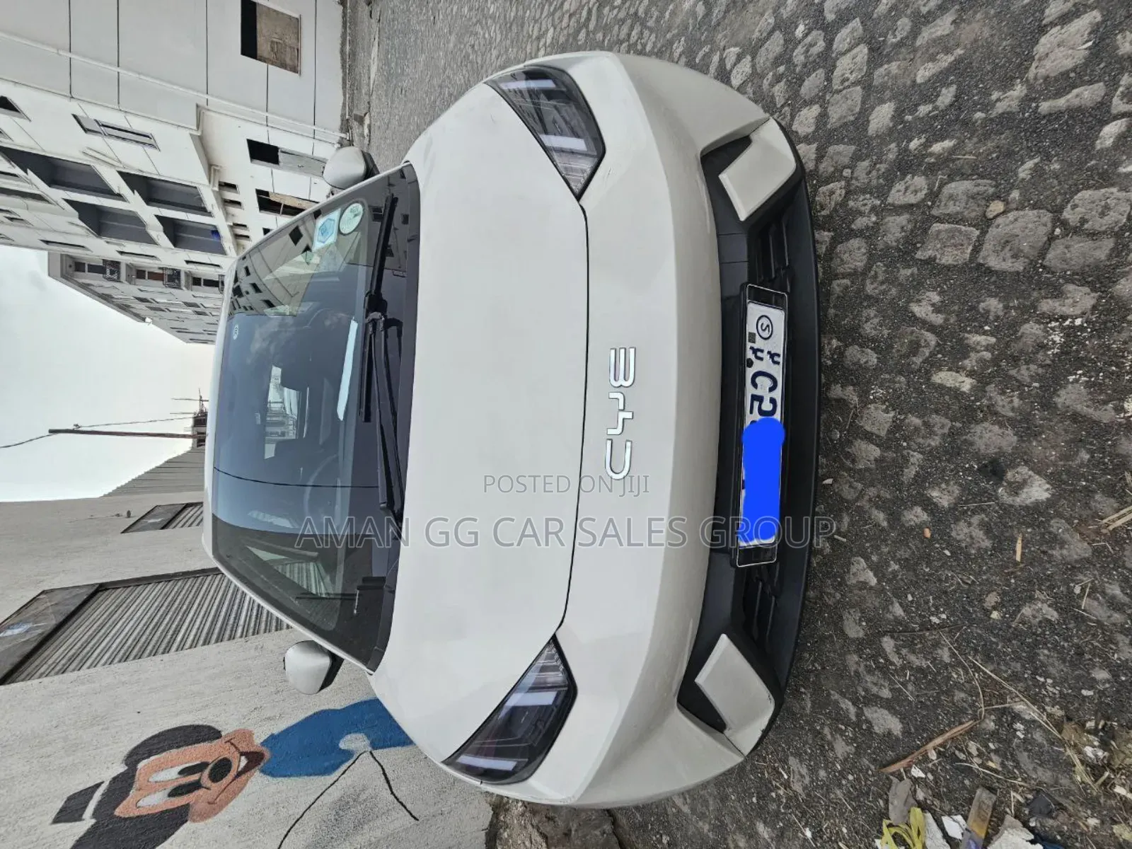 BYD Seagull 2024 Purple