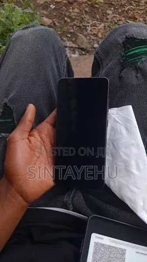 Samsung Galaxy S21 FE 5G 256 GB Gray