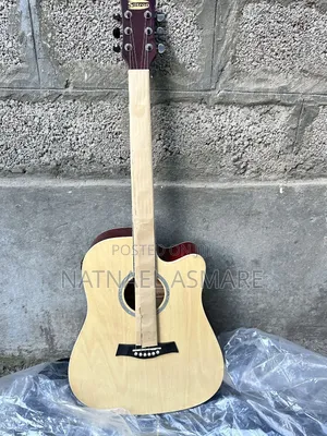 Photo - Guitar Siltron