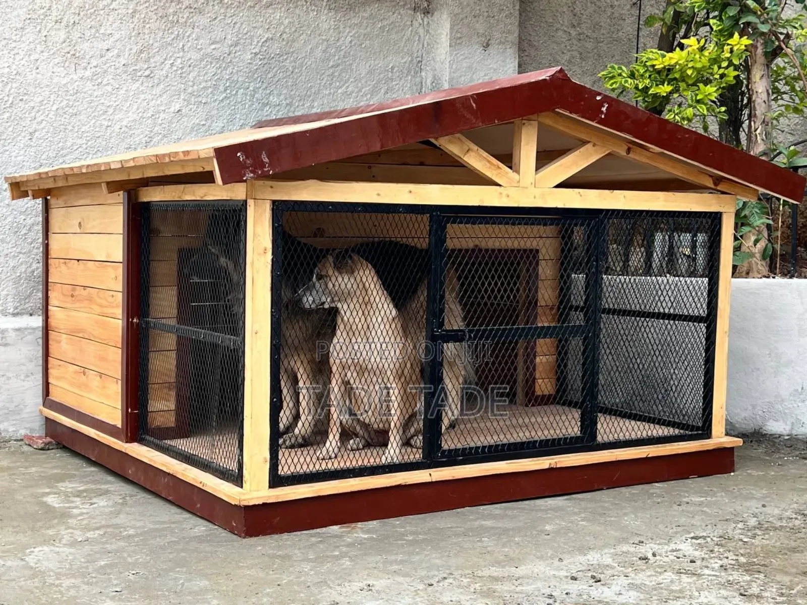 ሌግዠሪ Dog House