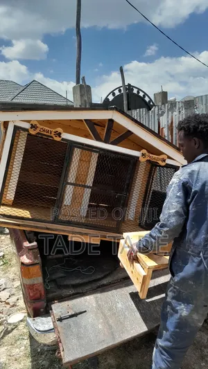 ዘመናዊ (Modern) የውሻ ቤት ስራ