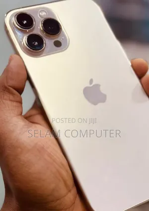New Apple iPhone 13 Pro Max 128 GB Gold