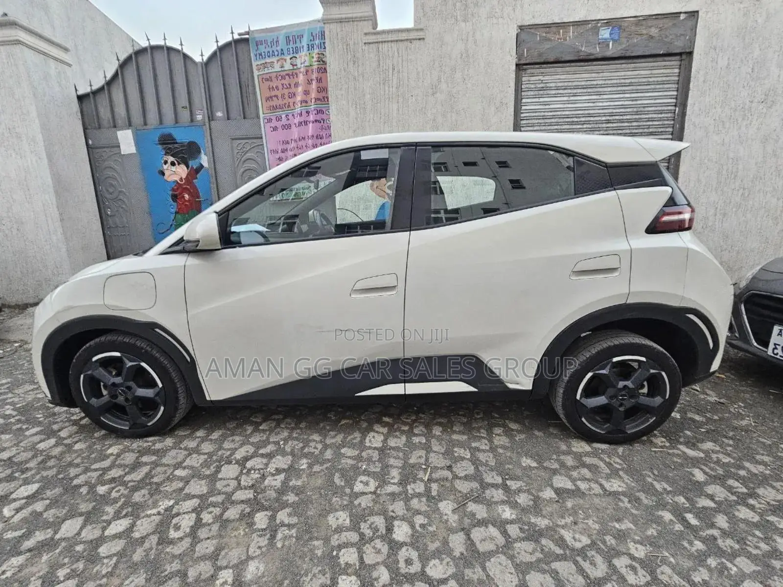 BYD Seagull 2024 Purple