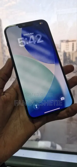 Apple iPhone 13 Pro Max 256 GB Gray