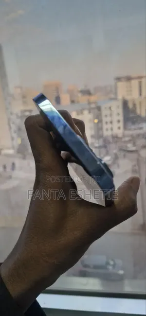 Apple iPhone 13 Pro Max 256 GB Gray