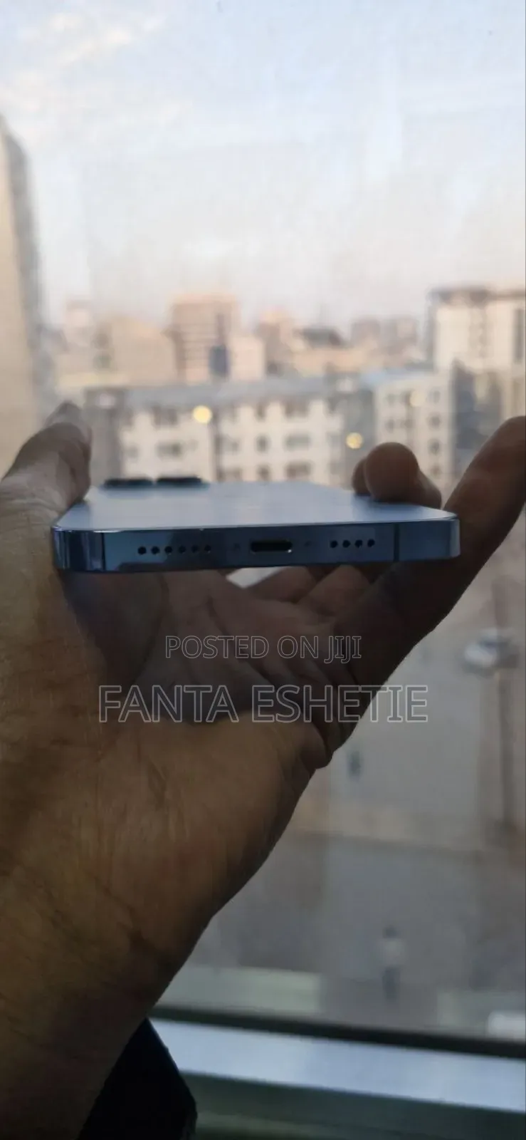 Apple iPhone 13 Pro Max 256 GB Gray