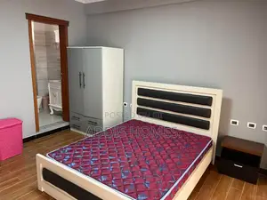 Furnished 3bdrm Apartment in Bole for rent