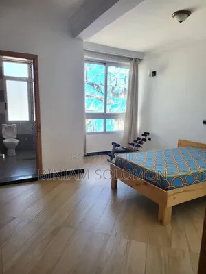 Furnished 2bdrm Apartment in Bole for rent