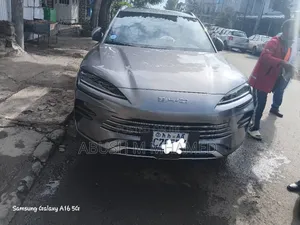 Photo - BYD Song Plus 2024 Green