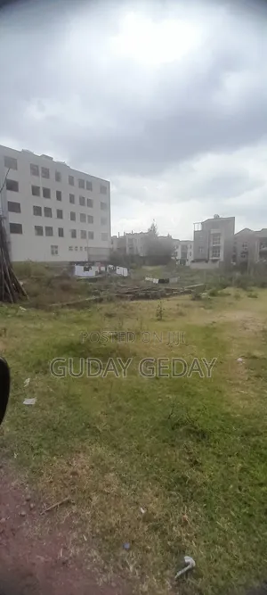 375 ካሬ ቦታ ስም መዞር የሚችል ላፍቶ ሃይሌ ጋርመንት ሀጫሉ መንገድ