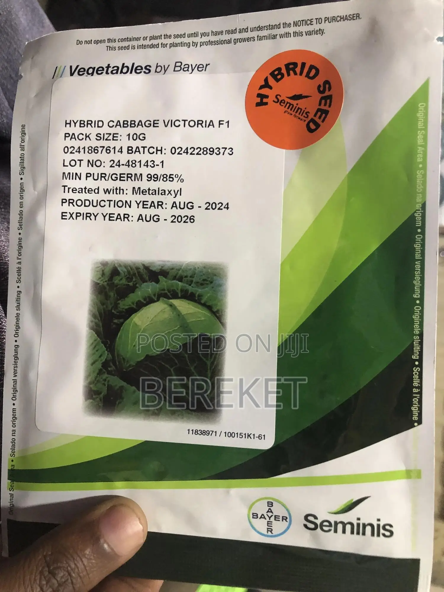 Hybrid Cabbage Seed( Victoria F1)