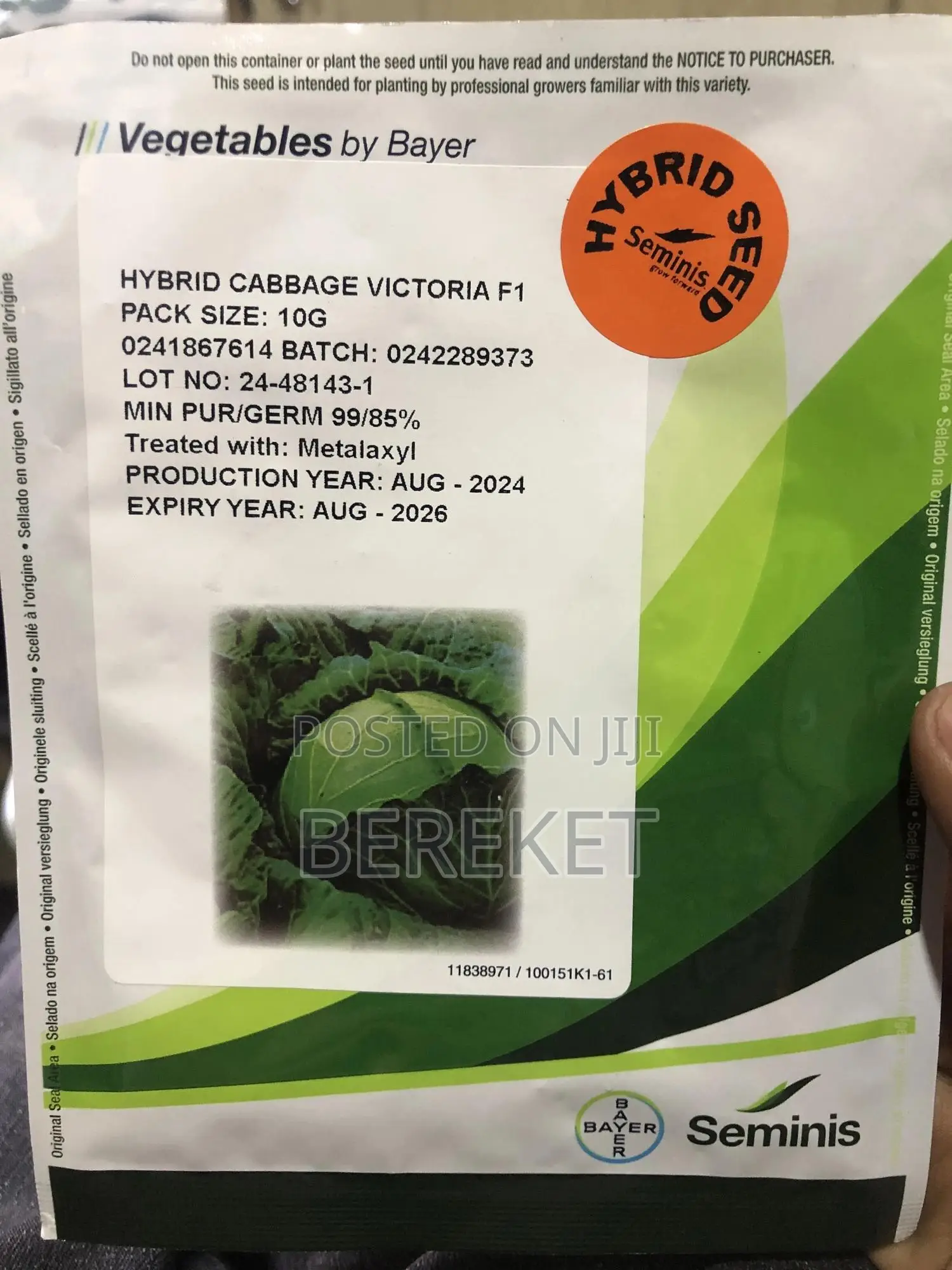 Hybrid Cabbage Seed( Victoria F1)