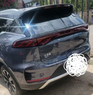 New BYD Tang DM-i 2024 Gray