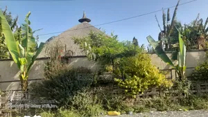 Photo - Furnished 4bdrm Farm House in Oromia-Finfinne for sale