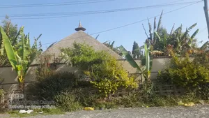 Furnished 4bdrm Farm House in Oromia-Finfinne for sale