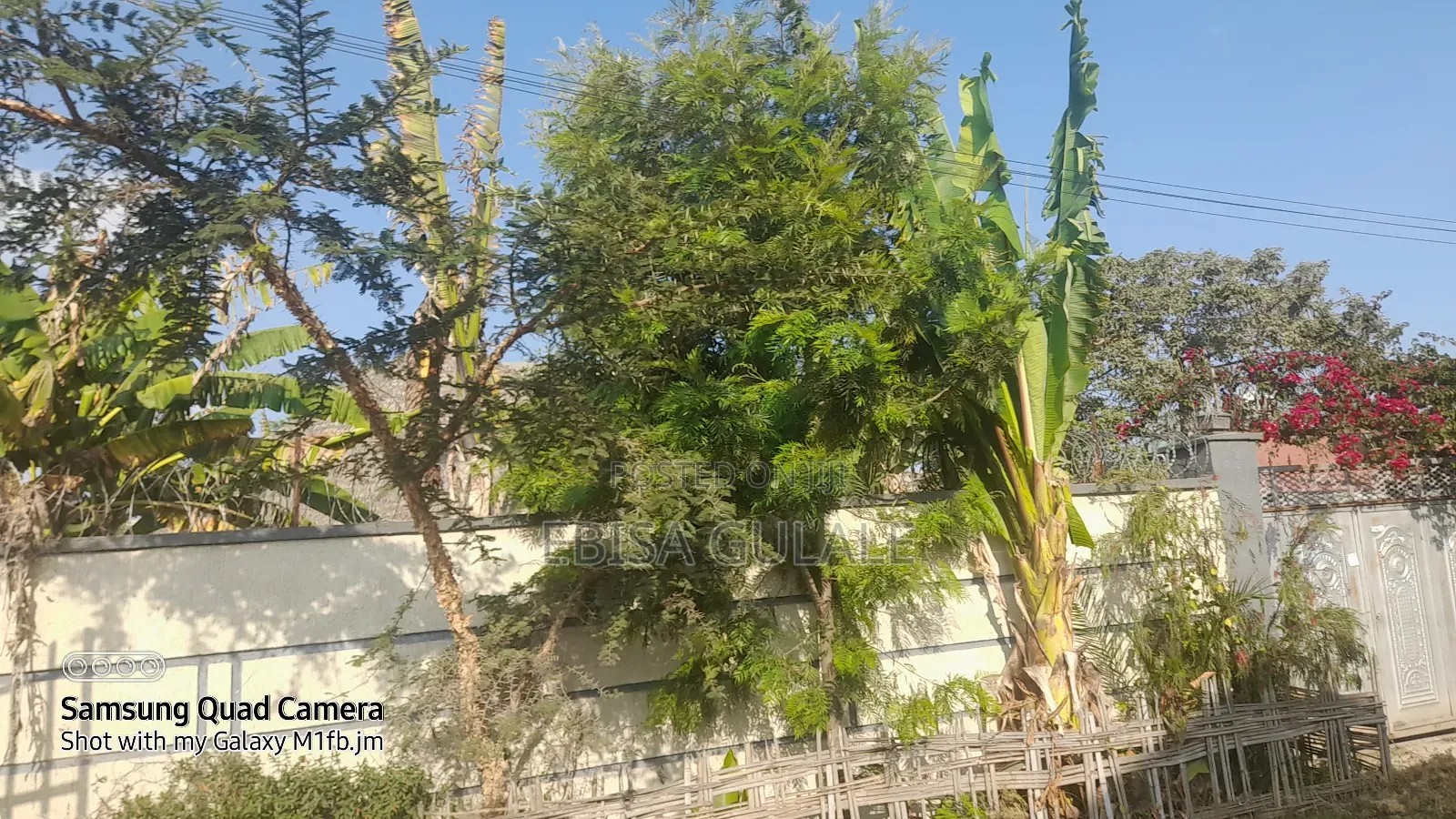 Furnished 4bdrm Farm House in Oromia-Finfinne for sale