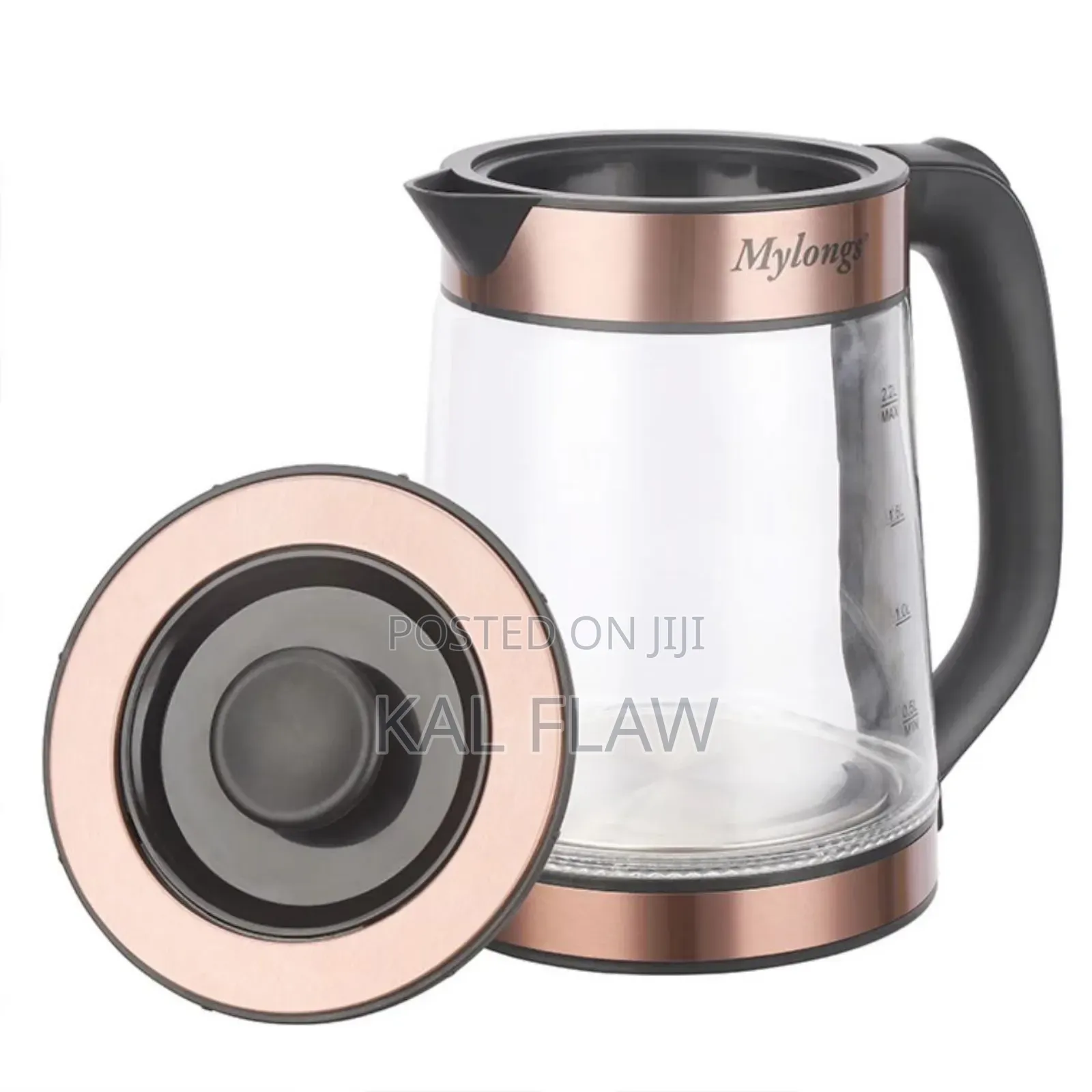 Mylongs Electric Kettle