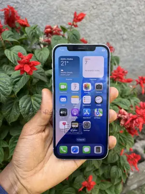 Photo - Apple iPhone 12 64 GB Purple