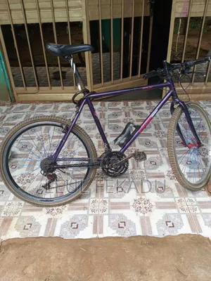 Photo - Bicycle Saycl