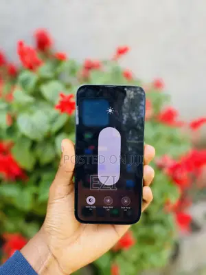 Apple iPhone 13 256 GB Green