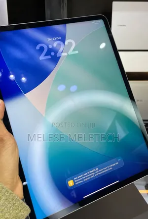 New Apple iPad Pro 128 GB Gray
