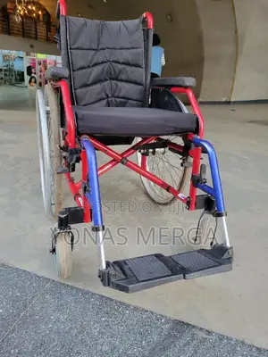 European Wheelchair凸爭wheelchair額爽 Fitted With Handles and Brakes