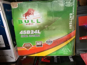 Car And Generator Batteries