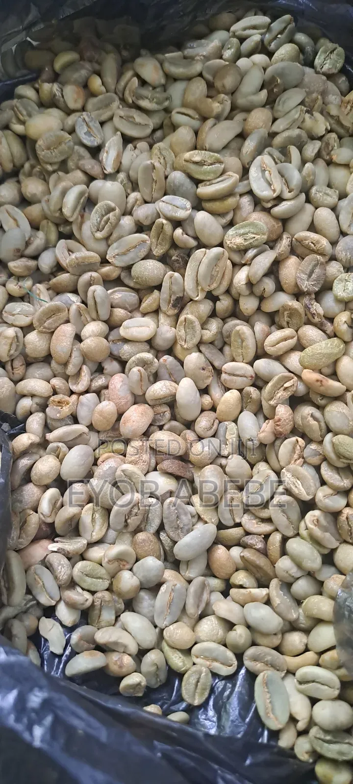 የ ይርጋጨፌ ቡና