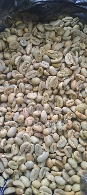 የ ይርጋጨፌ ቡና