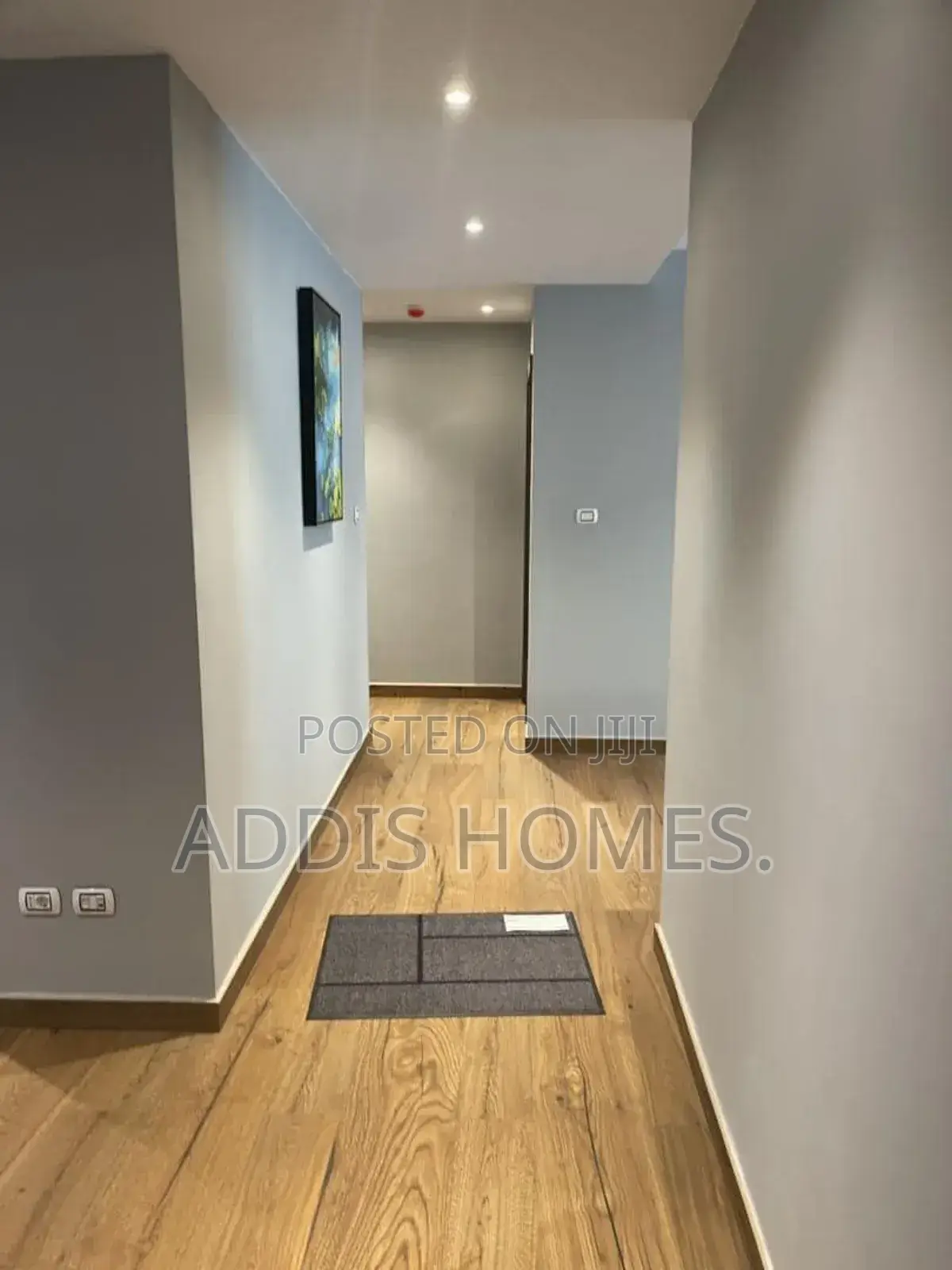 Furnished 3bdrm Apartment in Bole for rent